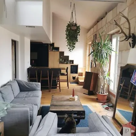Duplex Atypique Et Chaleureux, Hyper Centre Bordeaux